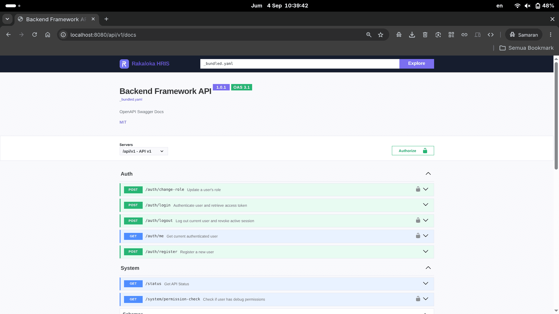 CHI_OPENAPI